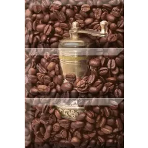 Декор Absolut Keramika Monocolor Biselado Composicion Coffee Beans 01 ABC0000047 30х20 см
