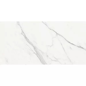 Керамогранит Staro Carving Appolo White 120х60 см
