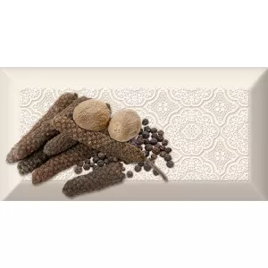 Декор Absolut Keramika Monocolor Decor Spices 04 A ABC0000089 20х10 см