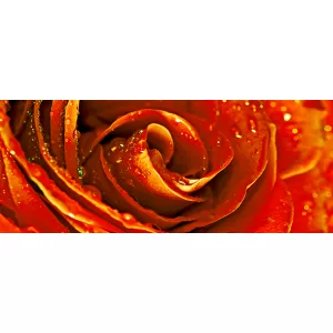 Декор Cerrol Syntia Rose 1 20х50